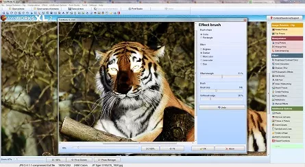 Photo Editor Windows 10