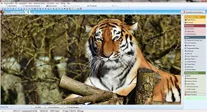 Photo Editing Software Windows 11