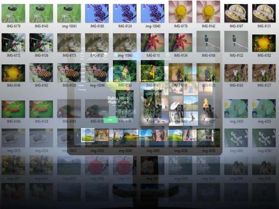 Best Software for Finding Duplicate Photos