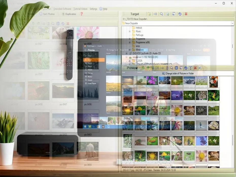 Easy Way to Organize Photos on Computer