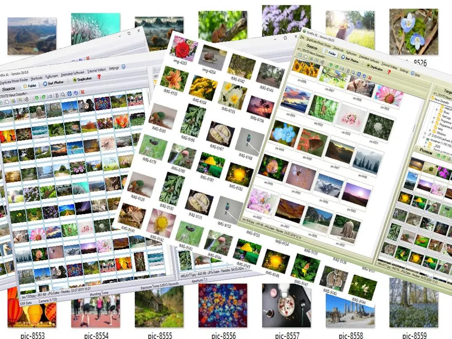 Family Photo Organizer Software