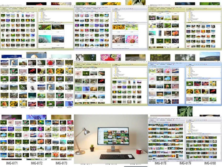 Organize and Store Photos