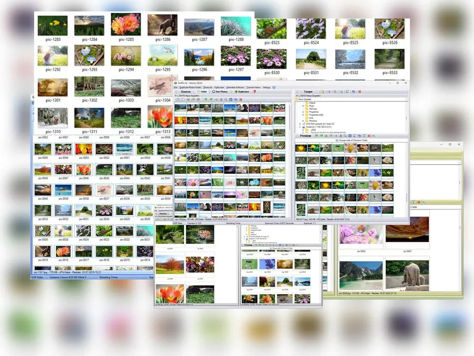 Organize Family Photos Digital