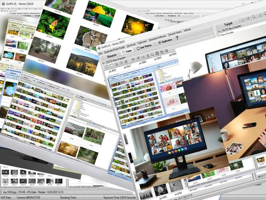 Organize My Pictures