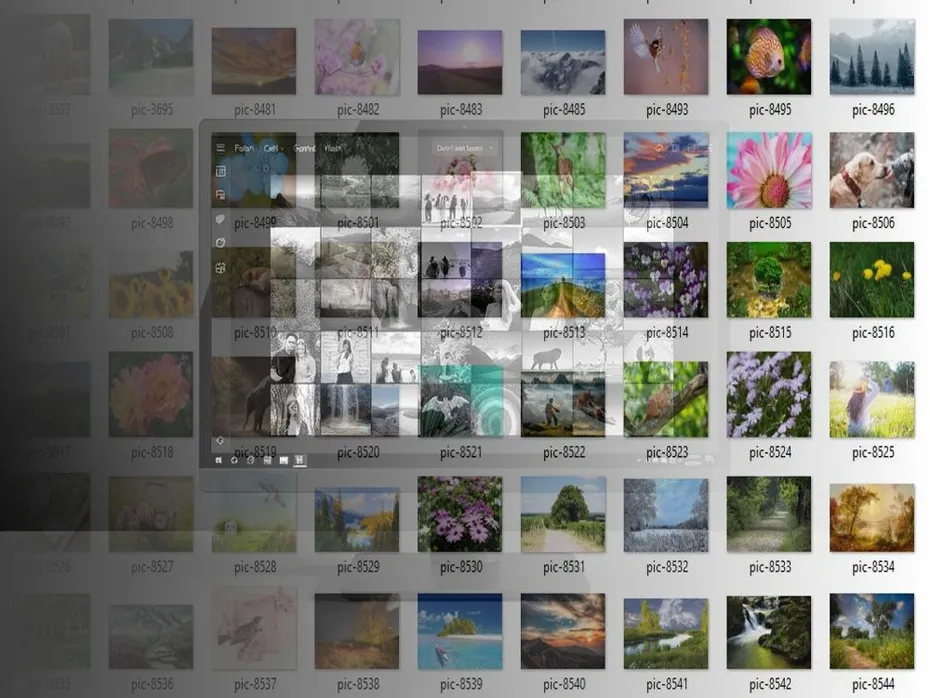 Organize Photos from Multiple Devices