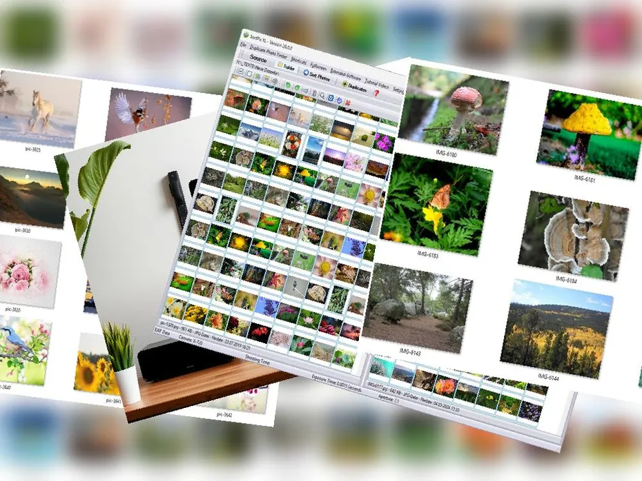 Organize Photos on External Hard Drive