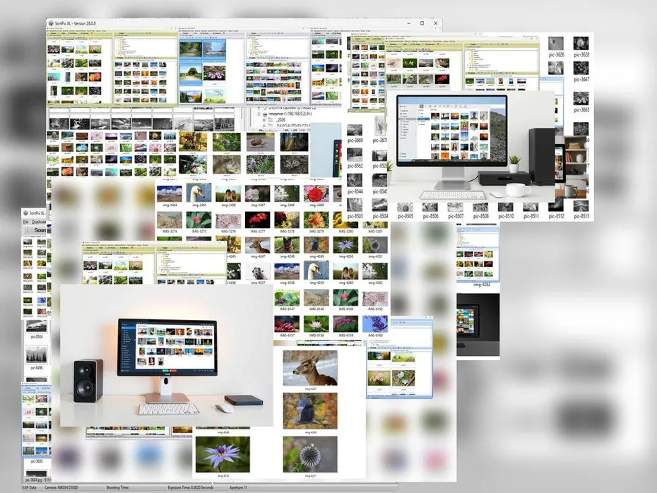 Photo Management Software Windows 11