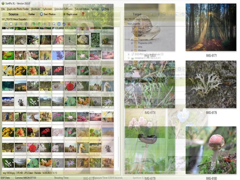 Software to Organize Photos on PC
